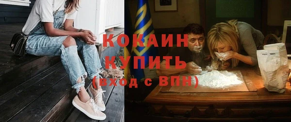 дурь Арсеньев