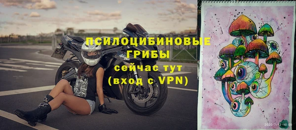 дурь Арсеньев